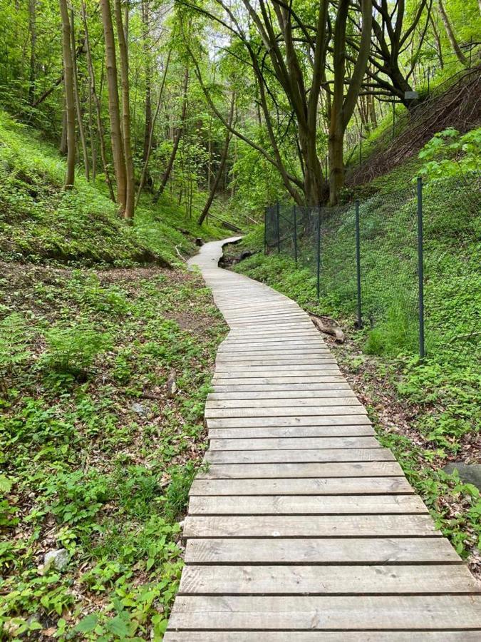 Zielone Rozewie Park Eksteriør billede